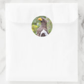 Sticker Rond Aigle de mer de Steller (Sac)