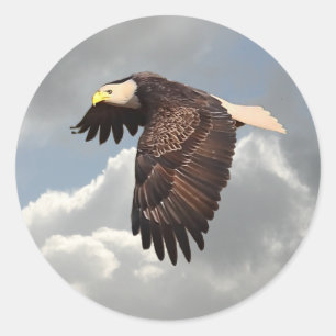 STICKER ROND AIGLE EN TRAIN