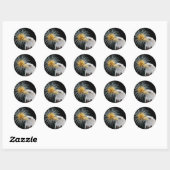 Sticker Rond Aigle et feux d'artifice (Feuille)