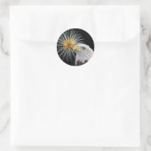 Sticker Rond Aigle et feux d'artifice (Sac)