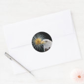 Sticker Rond Aigle et feux d'artifice (Enveloppe)