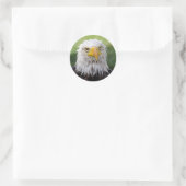 Sticker Rond Aigle Grumpy & Soggy Bald (Sac)