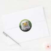 Sticker Rond Aigle Grumpy & Soggy Bald (Enveloppe)
