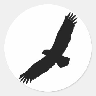 Sticker Rond aigle volant noir