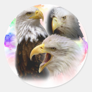 Sticker Rond Aigles