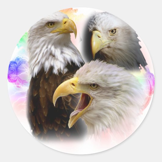 Sticker Rond Aigles (Devant)