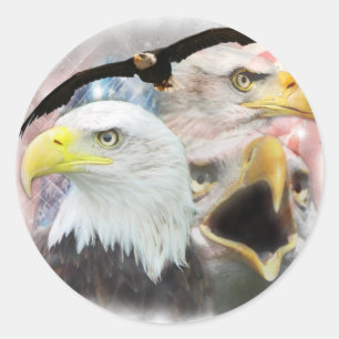 Sticker Rond Aigles blad