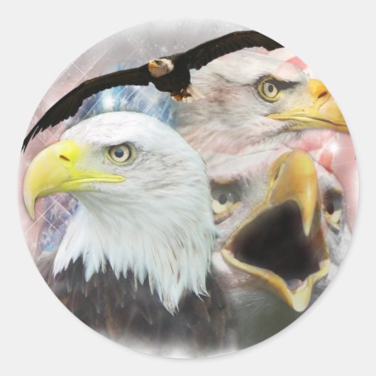 Sticker Rond Aigles blad (Devant)