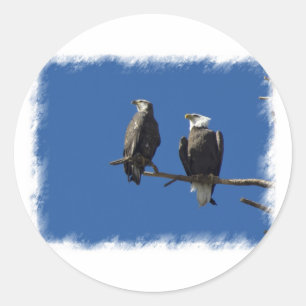 Sticker Rond Aigles chauds