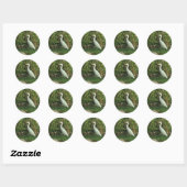 Sticker Rond Aigrette blanche (Feuille)
