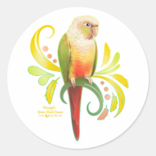 Sticker Rond Aiguille verte Joue Conure