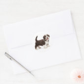 Sticker Rond Aimer Havanais Chocolat Chien Chien Chien Brown Bo (Enveloppe)