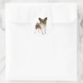 Sticker Rond Aimer Papillon Chien Chien Chien Chien Salut, Pens (Sac)