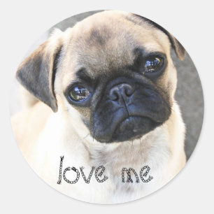 Sticker Rond aimez-moi - les balais mignons