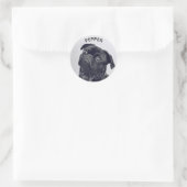 Sticker Rond Ajouter votre propre photo Animaux de compagnie No (Sac)