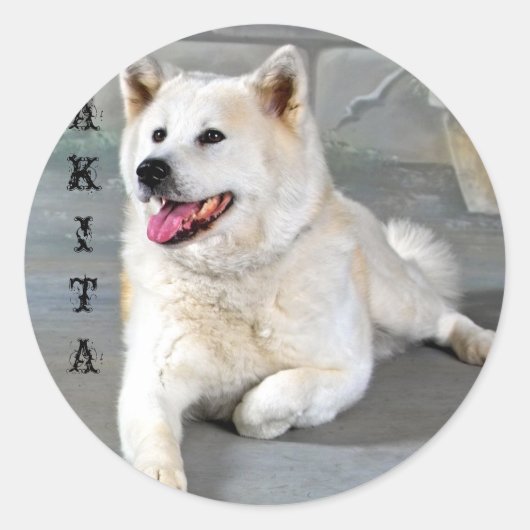 Sticker Rond Akita (Devant)