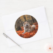 Sticker Rond Akita en automne Feuilles automne s'inspire (Enveloppe)