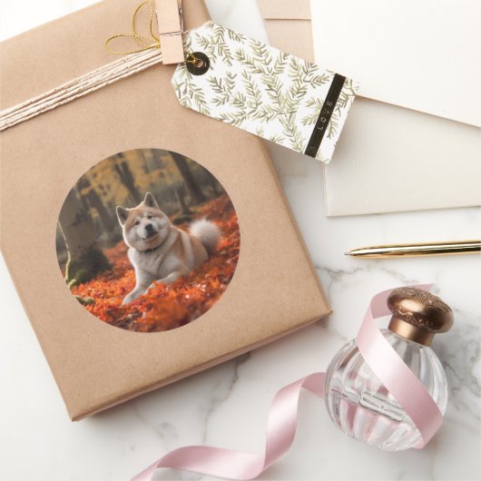 Sticker Rond Akita en automne Feuilles automne s'inspire (Cadeaux)