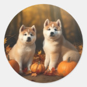 Sticker Rond Akita Puppy Citrouille d'automne (Devant)