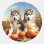 Sticker Rond Alaskan Malamute Chiot Automne Citrouille délice (Devant)