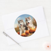 Sticker Rond Alaskan Malamute Chiot Automne Citrouille délice (Enveloppe)