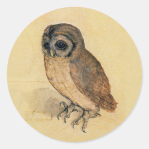 Sticker Rond Albrecht Durer La Petite Chouette