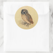 Sticker Rond Albrecht Durer La Petite Chouette (Sac)