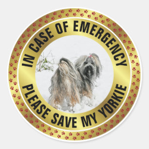 Sticker Rond Alerte de sécurité pour animaux de compagnie Photo
