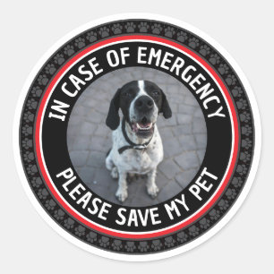 Sticker Rond ALERTE DE SÉCURITÉ SAUVEZ MON ANIMAL Photo personn