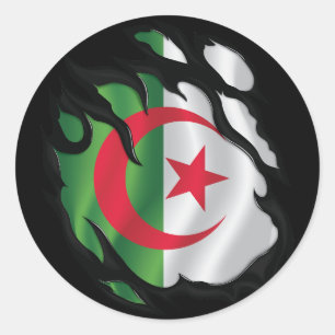 Sticker Rond Algérie - Drapeau déchiré