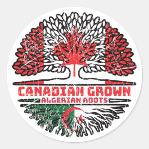 Sticker Rond Algérie Drapeau des racines d'arbre du Canada algé