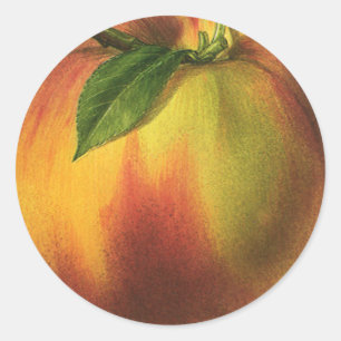 Sticker Rond Aliments Anciens Fruits, Pêche Biologique Mûre ave