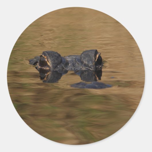 Sticker Rond alligator (Devant)