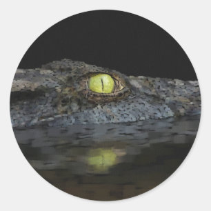 Sticker Rond Alligator américain