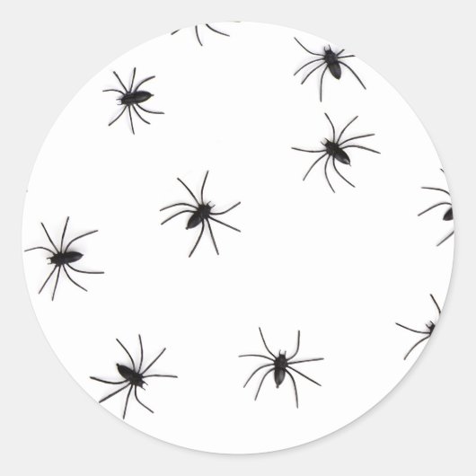 Sticker Rond Allover Araignées Halloween (Devant)