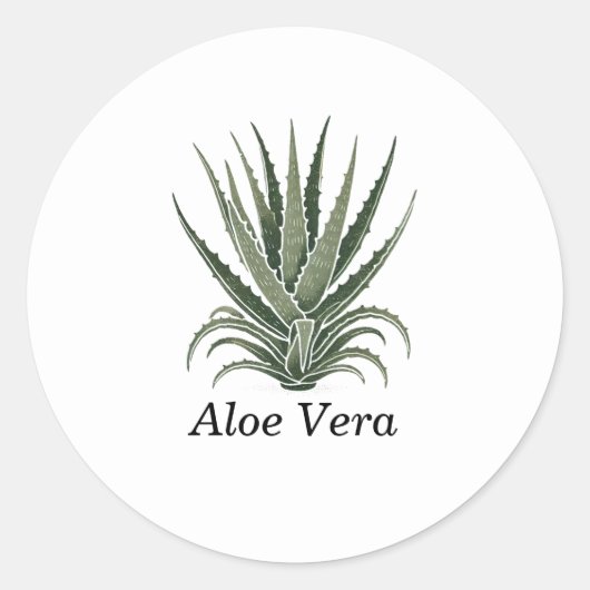 Sticker Rond Aloe Vera Plante Herbal Apothecary (Devant)