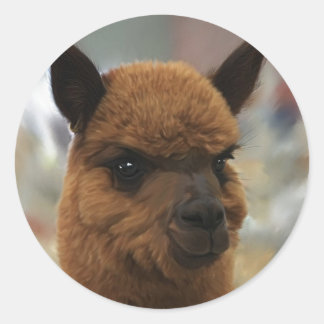 Sticker Rond Alpaca