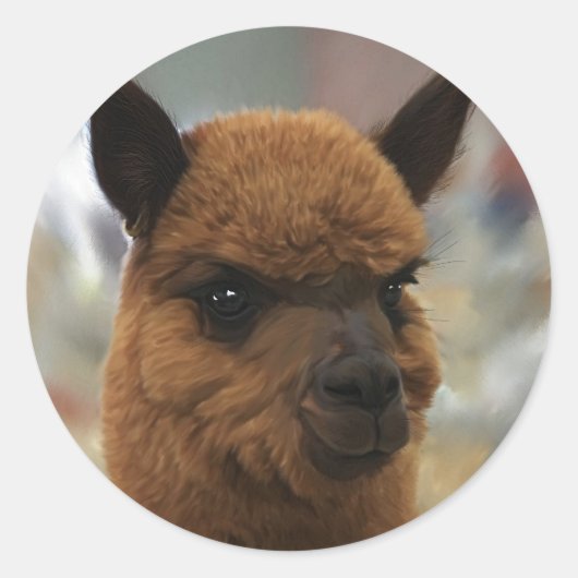 Sticker Rond Alpaca (Devant)
