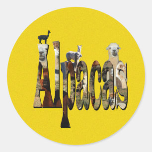 Sticker Rond Alpaca jaune,