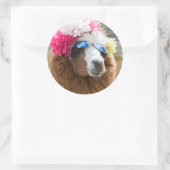 Sticker Rond Alpaca, Pachacoto, Cordillère Blanca, Ancash (Sac)