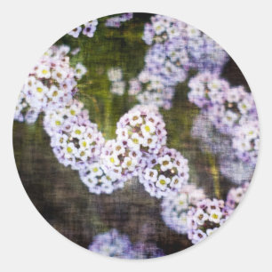Sticker Rond Alyssum doux en Grunge