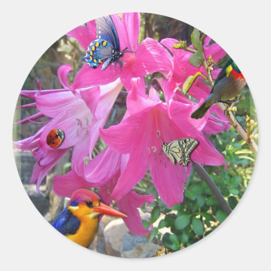 Sticker Rond Amaryllis (Devant)