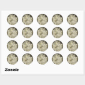 Sticker Rond Amaryllis Old Time Sketch (Feuille)