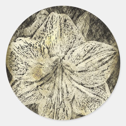 Sticker Rond Amaryllis Old Time Sketch (Devant)