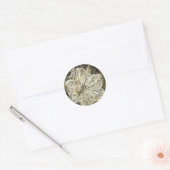 Sticker Rond Amaryllis Old Time Sketch (Enveloppe)