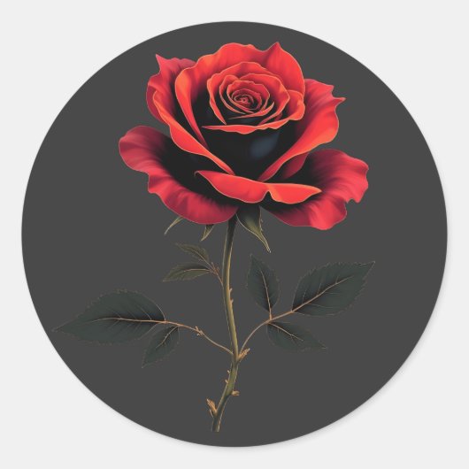 Sticker Rond Amateurs de fleurs de rose rouge simple Jardinage (Devant)