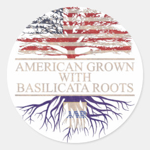 Sticker Rond Américain cultivé avec des racines de basilicata