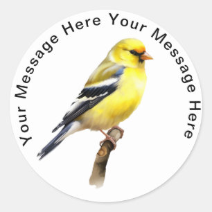 Sticker Rond Américain Goldfinch
