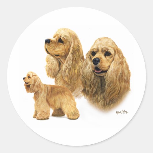 Sticker Rond American Cocker Spaniel (Devant)