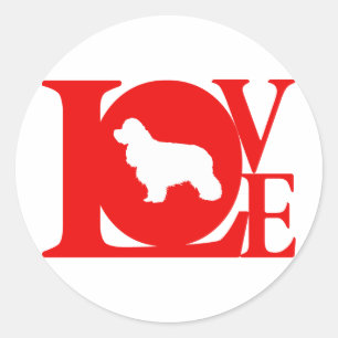 Sticker Rond American Cocker Spaniel